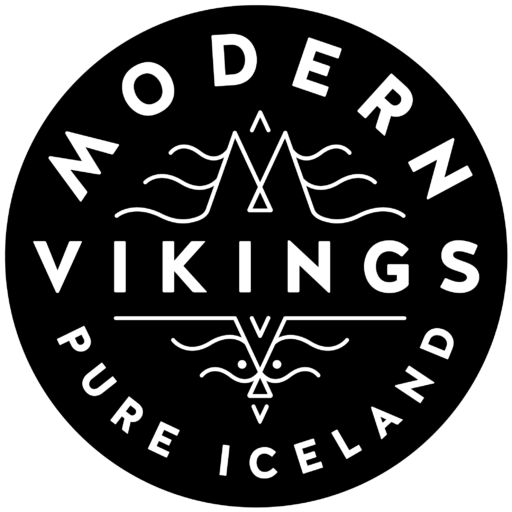vikings logo